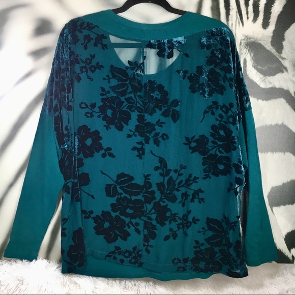 🌈SOLD🌈Sundance Sheer Velvet Back Dolman - Picture 5 of 8